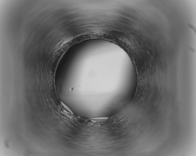 X0000098030773200804111321