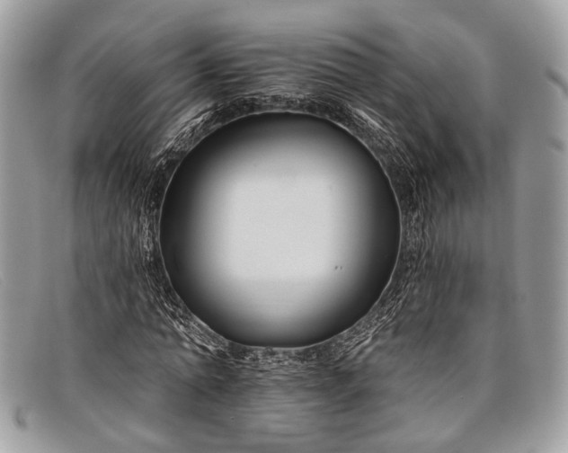 X0000098030774200804111321