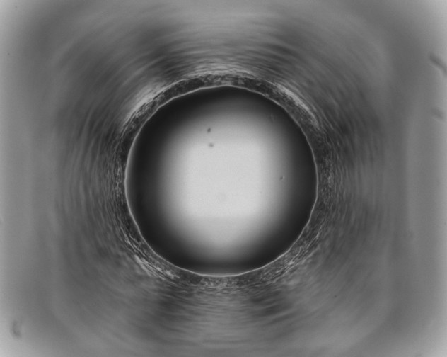 X0000098030775200804111321