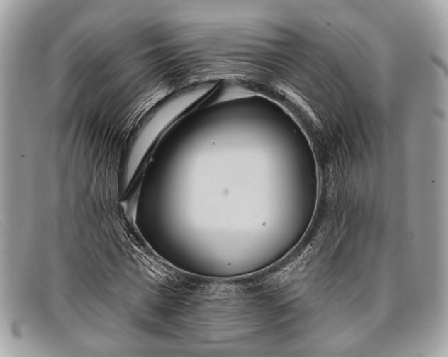 X0000098030777200804111321