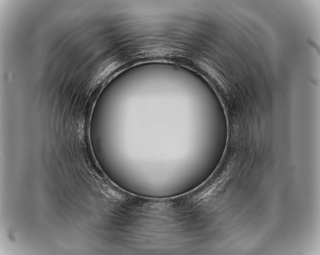 X0000098030778200804111321