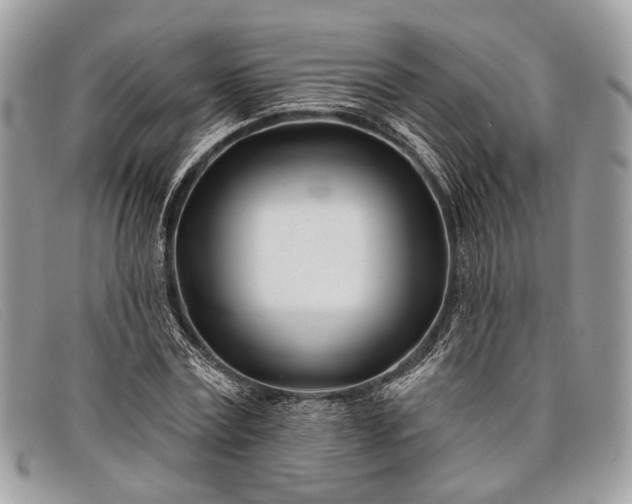 X0000098030779200804111321