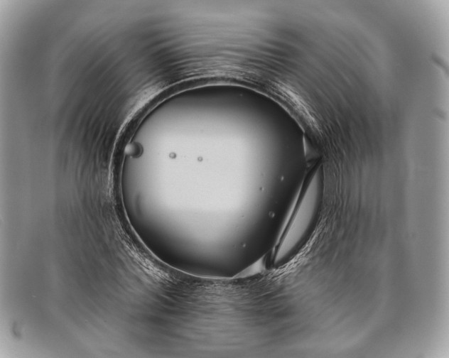 X0000098030780200804111321