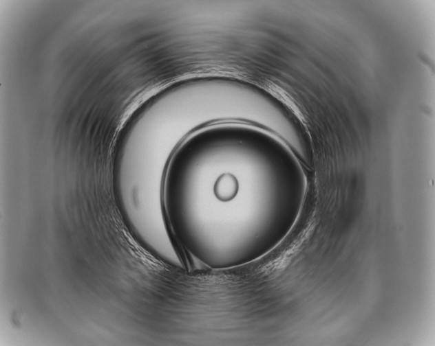 X0000098030781200804111321