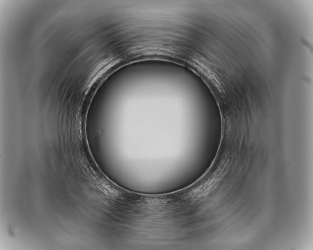 X0000098030782200804111321