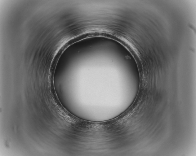 X0000098030783200804111321