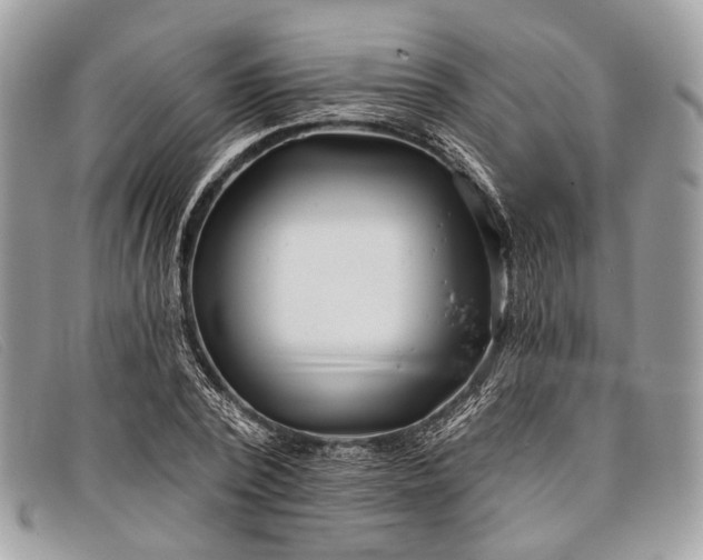 X0000098030784200804111321