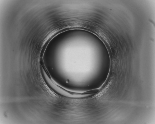 X0000098030789200804111321