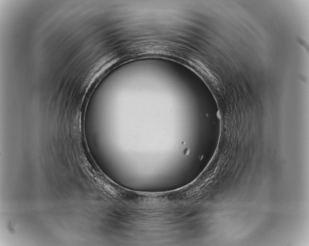 X0000098030790200804111321