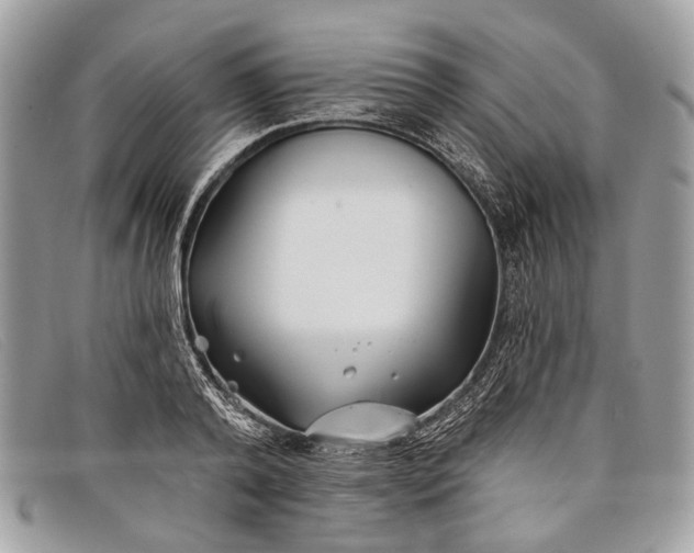 X0000098030792200804111321