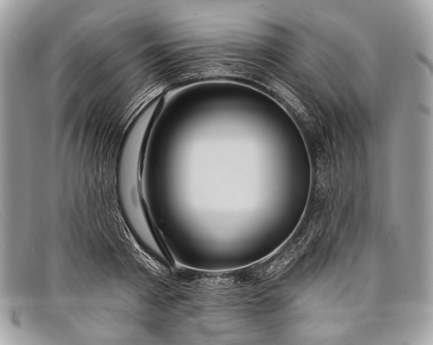 X0000098030793200804111321