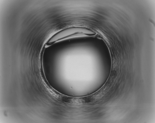 X0000098030795200804111321