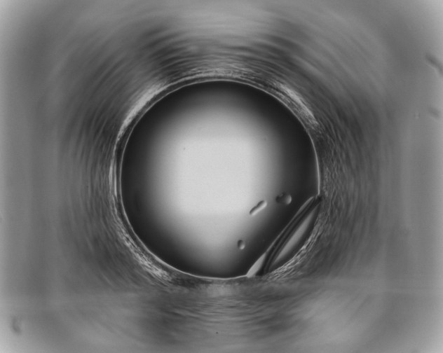 X0000098030796200804111321