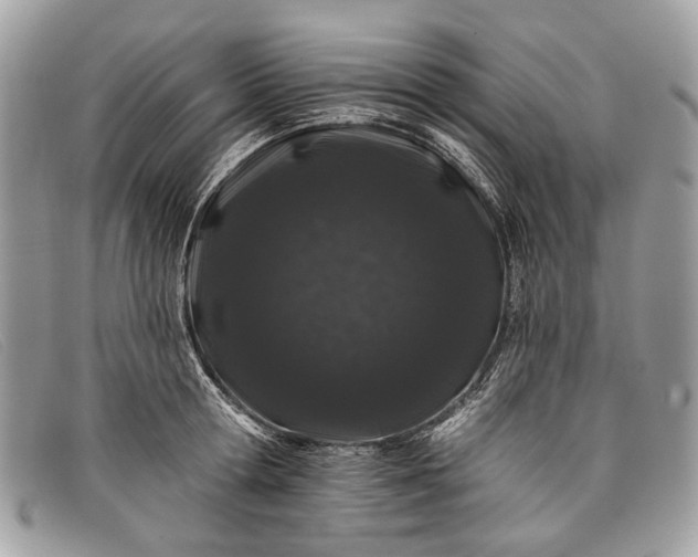 X0000098030802200804111321