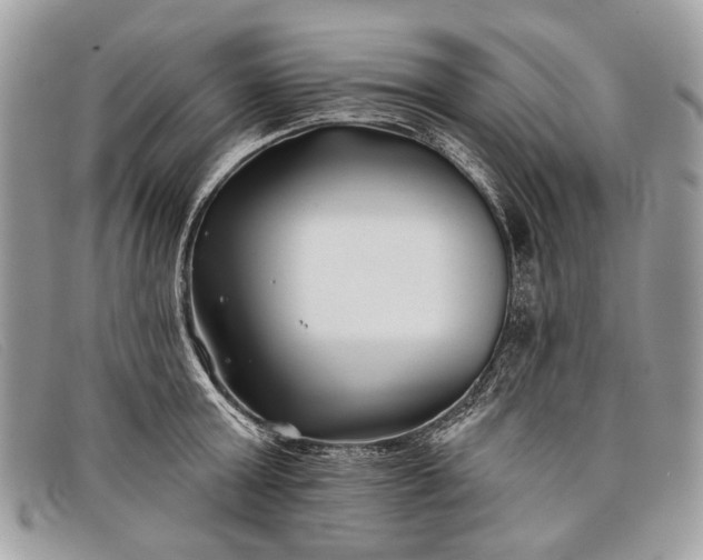 X0000098030803200804111321