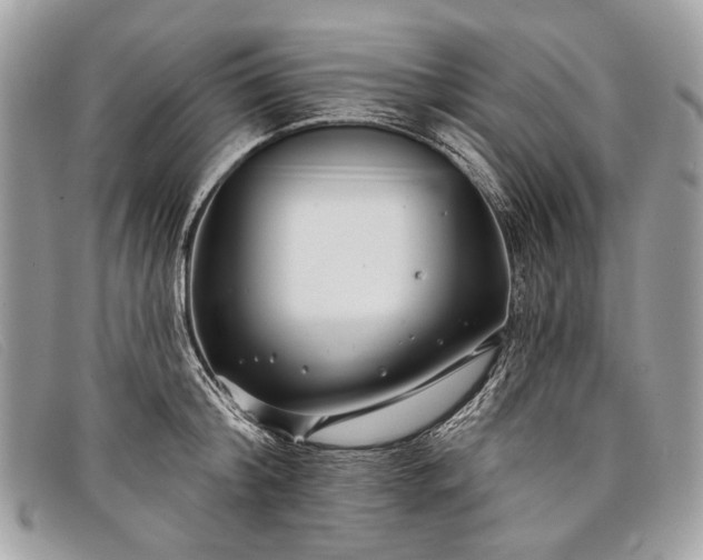 X0000098030804200804111321