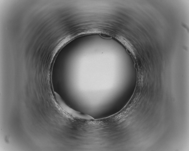 X0000098030805200804111321