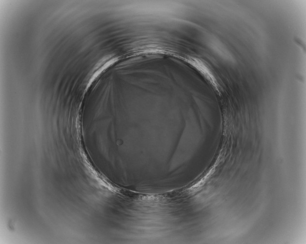 X0000098030806200804111321