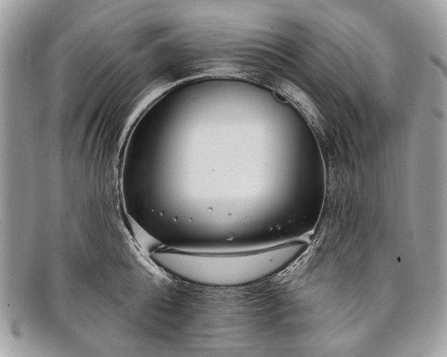 X0000098030808200804111321