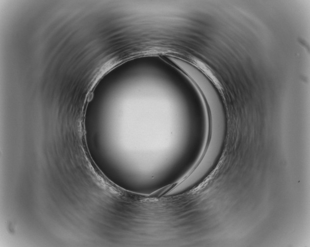 X0000098030810200804111321