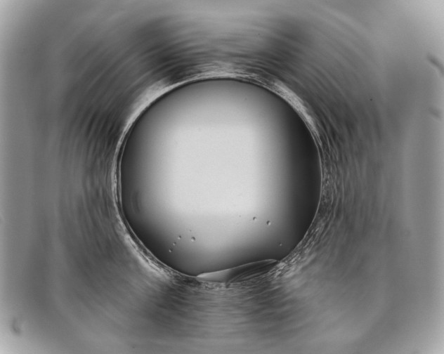 X0000098030811200804111321