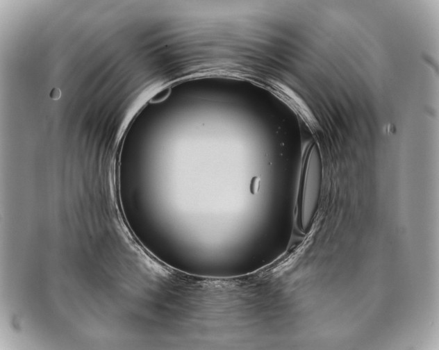 X0000098030812200804111321