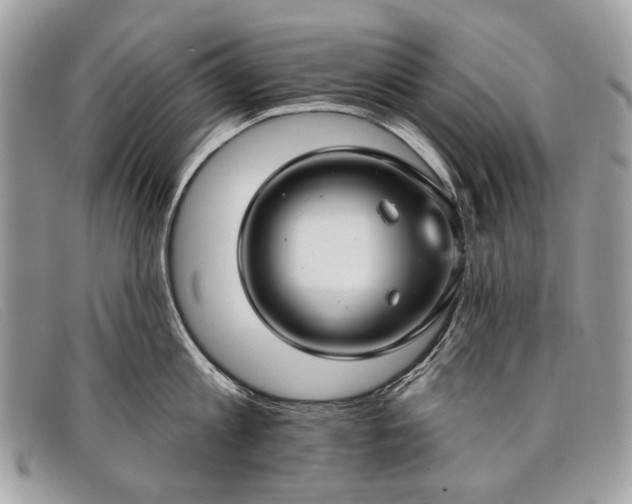 X0000098030813200804111321