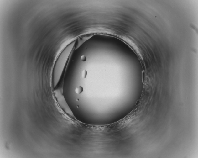 X0000098030815200804111321