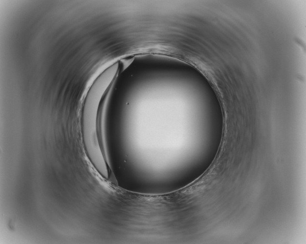 X0000098030816200804111321