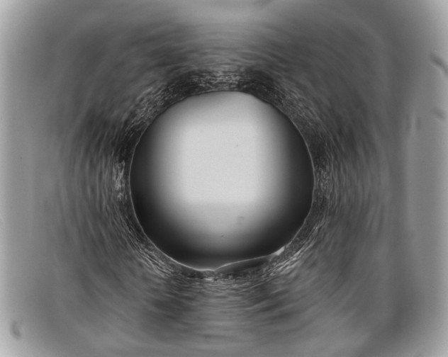 X0000098030818200804111320