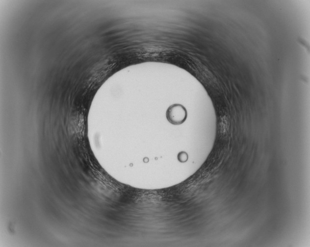 X0000098030820200804111320