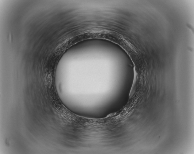 X0000098030821200804111320