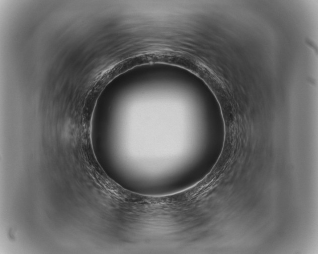 X0000098030822200804111320