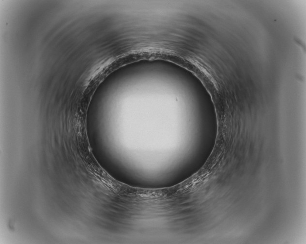 X0000098030823200804111320