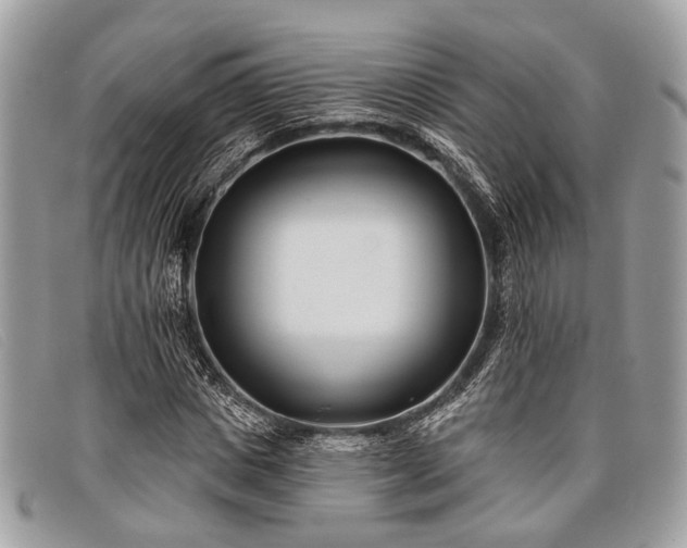 X0000098030825200804111320