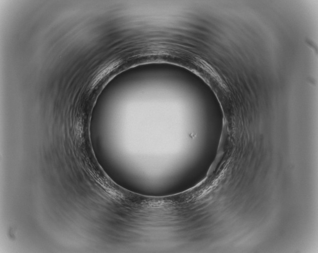 X0000098030826200804111320