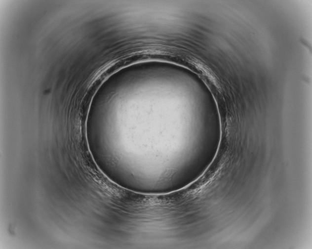 X0000098030829200804111320