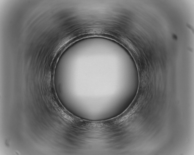 X0000098030831200804111320