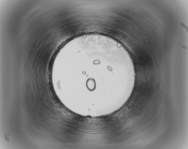 X0000098030832200804111320