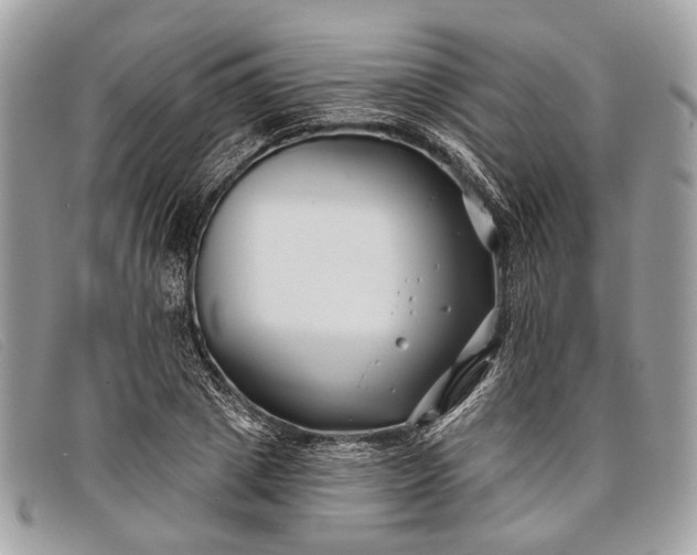 X0000098030833200804111320