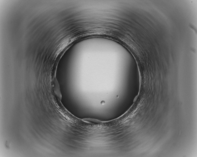 X0000098030834200804111320