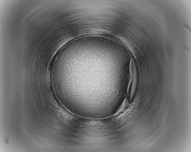 X0000098030835200804111320