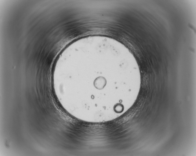 X0000098030836200804111320