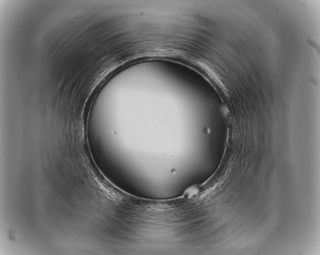 X0000098030837200804111320