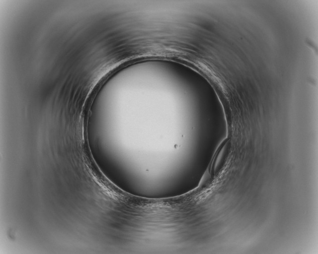 X0000098030838200804111320