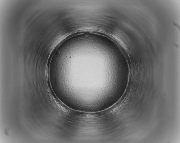 X0000098030839200804111320