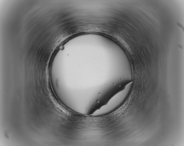 X0000098030840200804111320