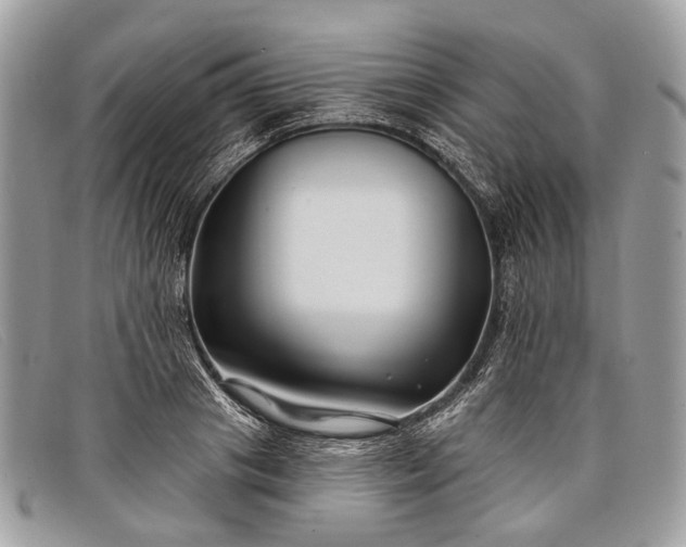 X0000098030841200804111320