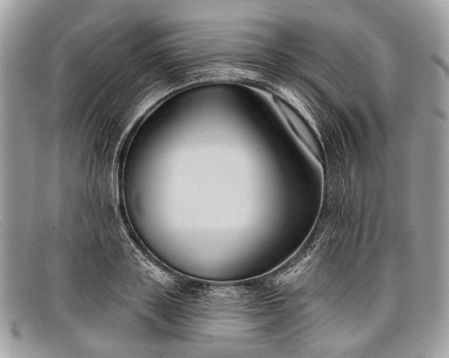 X0000098030843200804111320