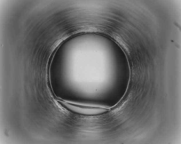 X0000098030845200804111320